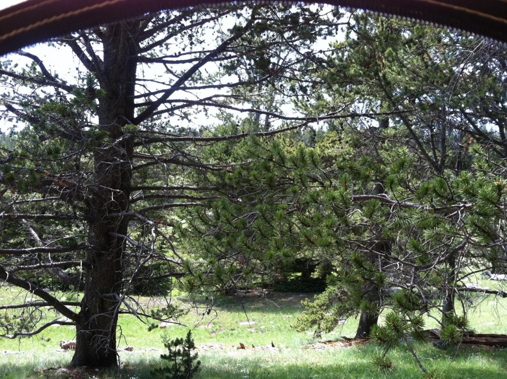 The view from the latrine